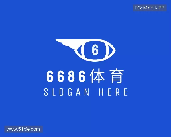 了解6686体育